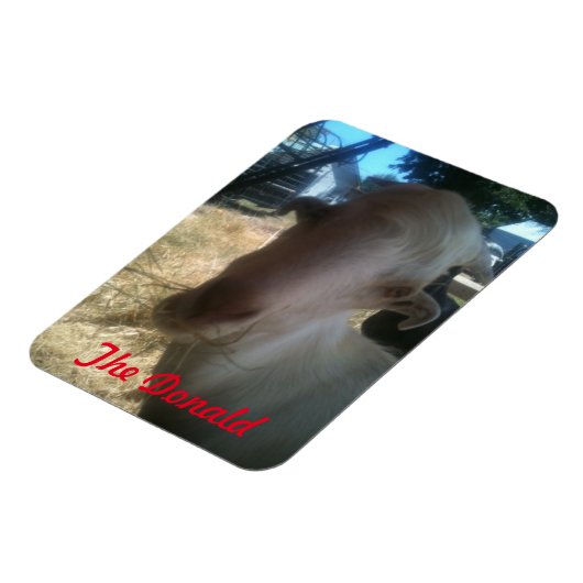 De Donald Magneet (Linkerzijde)