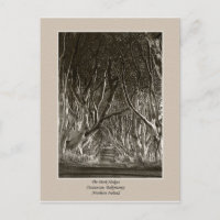 De donkere haarden, het tranocum, het geld in brie