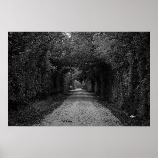 De donkere weg poster (Voorkant)