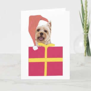 De Doos van de Gift van het Pet van de Kerstman Feestdagen Kaart