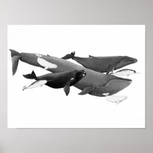 De draai van walviskunst poster
