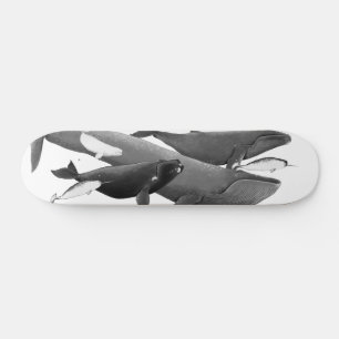 De draai van walviskunst skateboard