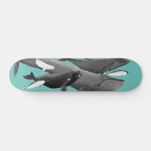 De draai van walvissen is tekengroothandelaars bla skateboard