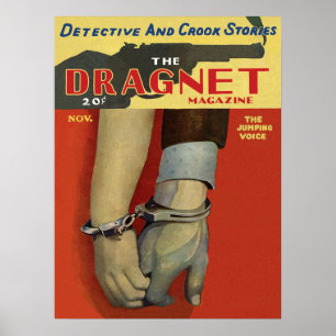 De dragnet poster