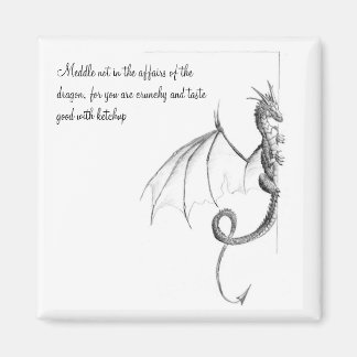 De Dragon Page Magnet Magneet