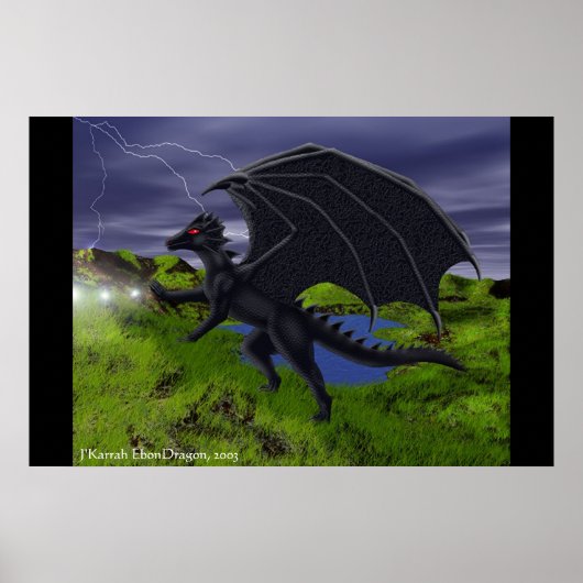 De drakenpagina poster (Voorkant)