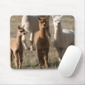 De drie amigo's, alpaca-stijl muismat (Met muis)