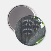 De drie Amigos Magneet (Voorkant / Achterkant)