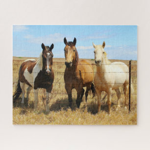 De drie Amigos Paardenvrienden Legpuzzel