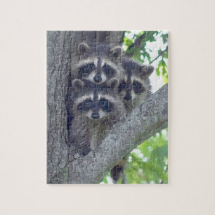 De drie amigos Puzzle Legpuzzel