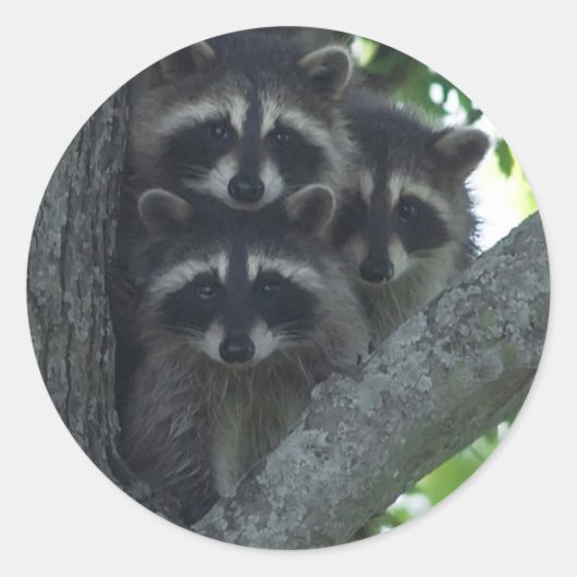 De drie Amigos Ronde Sticker (Voorkant)