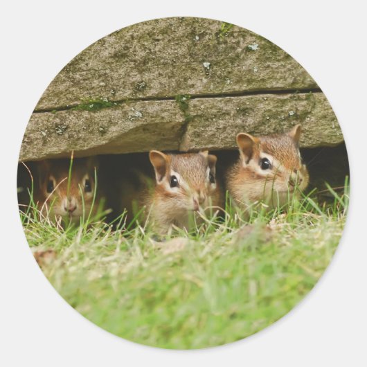 de drie amigos ronde sticker (Voorkant)