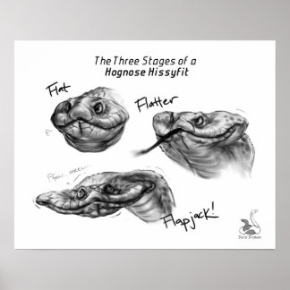 "De drie fasen van een Hognose Hissyfit" Poster
