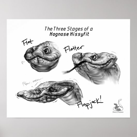 "De drie fasen van een Hognose Hissyfit" Poster (Voorkant)