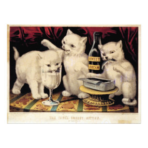 De drie hebzuchtige Katten op het hoogtepunt Foto Afdruk