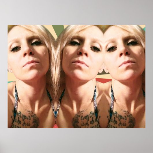 De drie lotgevallen poster (Voorkant)