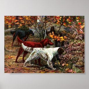 De drie setters Canvas drukken Poster