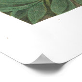 De drie witte kittens - vrede - O.S. sc., Currier Poster (Hoek)