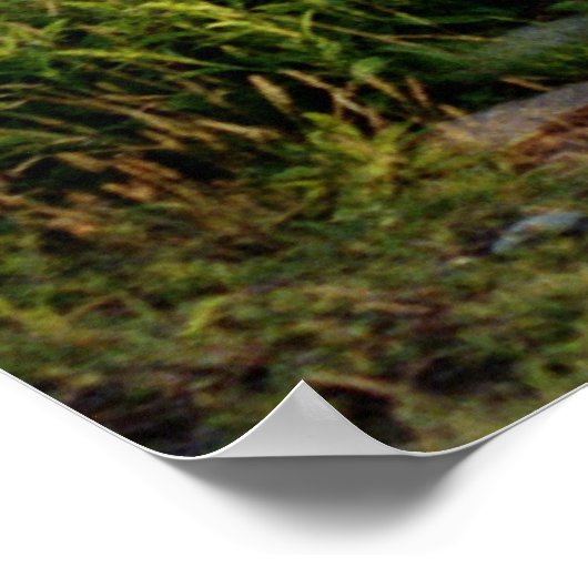 De drie zussen poster (Hoek)