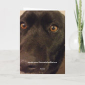 De droevige Kaart van de Dag van de Goedkeuring (Achterkant)