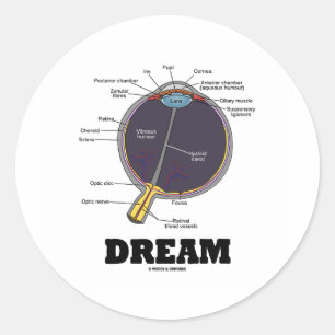 De Droom van het oog (i) (Anatomische Menselijke Ronde Sticker