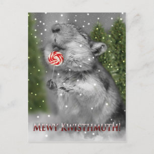 De Droom van Kerstmis van de woestijnrat Feestdagenkaart