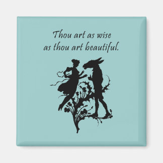 De droom van Midzomer Night Magneet