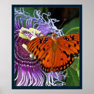De Druk -20x24 van de Kunst van Fritillary van de Poster