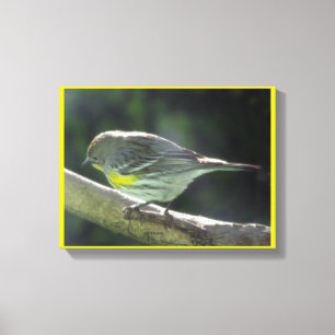 De druk van het canvas - Gele Vogel Breasted op Afdruk