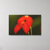 De Druk van het Canvas van de Rek van de Orchidee (Voorkant)