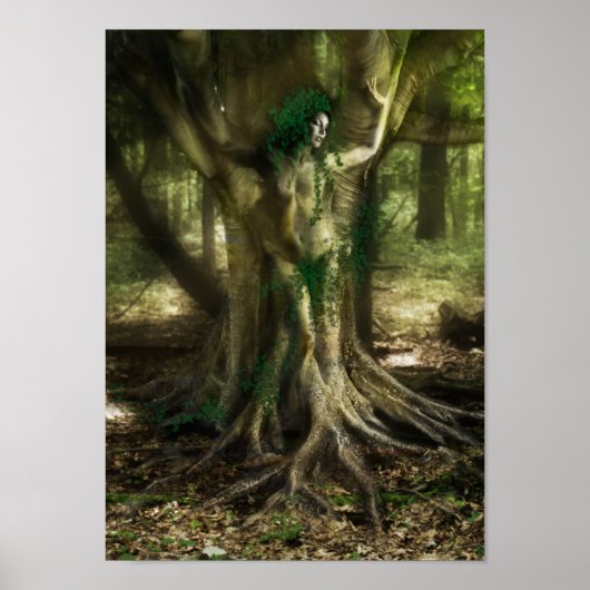De Dryad Poster (Voorkant)