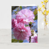 De dubbele Bloesems van de Kers Kaart (Gele Bloem)