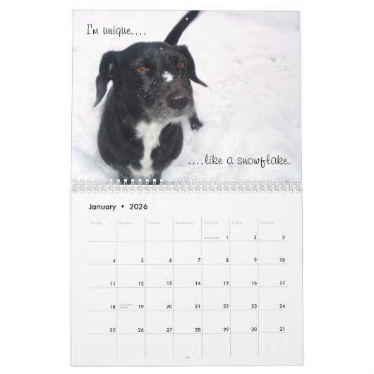 De Duchess of York County Kalender (Jan 2026)