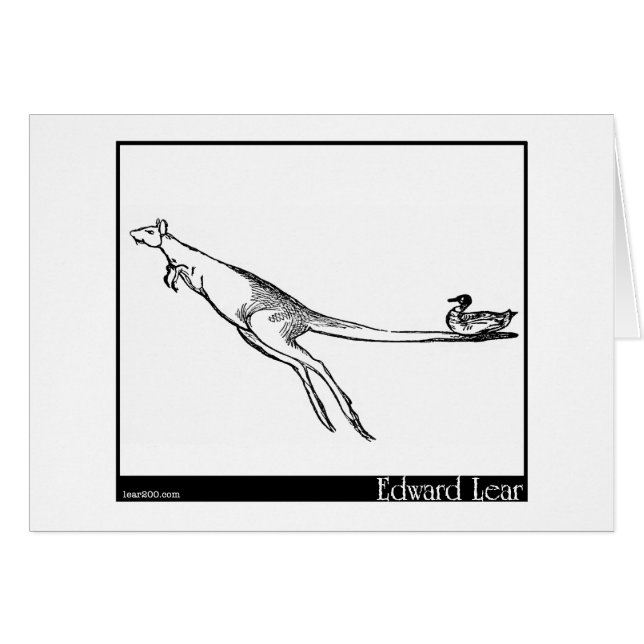 De Duck en de Kangaroo (Voorkant Horizontaal)