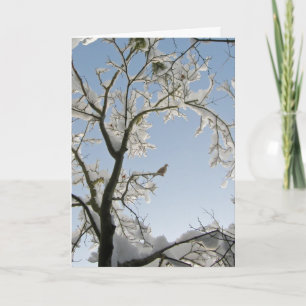 De duif antwoordt: "Noël." Feestdagen Kaart