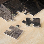De Duif van Pierre Legpuzzel (Zijkant)