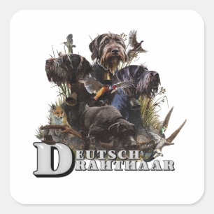 De Duitse draadaanwijzer Vierkante Sticker