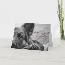 De Duitse herdermedeleven.