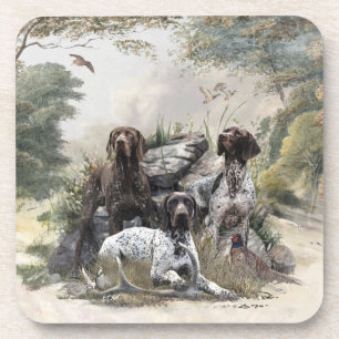 De Duitse kortharige pointer of Deutsch Kurzhaar Bier Onderzetter