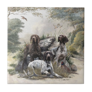 De Duitse kortharige pointer of Deutsch Kurzhaar Tegeltje