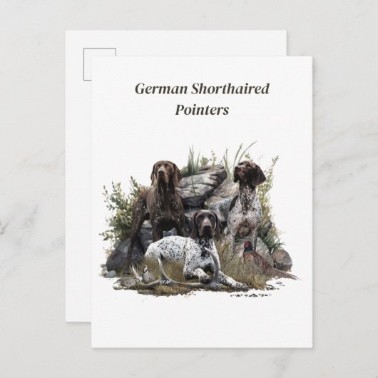 De Duitse kortharige pointer of Deutsch Kurzhaar Uitnodiging Briefkaart (Voorkant / Achterkant)