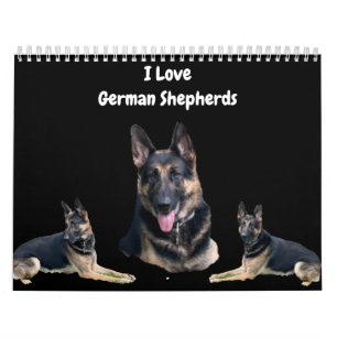 DE DUITSE SHEPHERD KALENDER