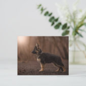 De Duitse Shepherd puppy op dienst. Briefkaart (Staand voorkant)