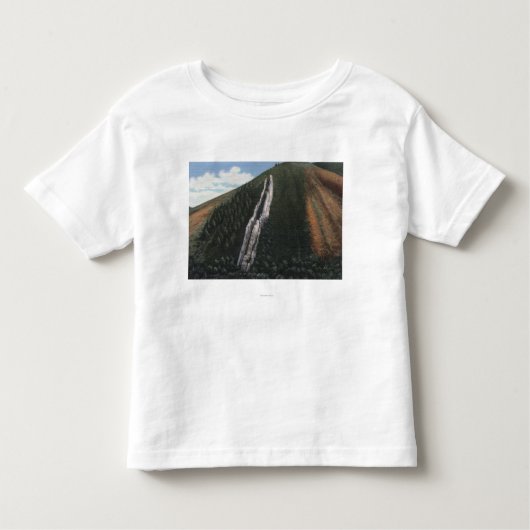 De duivelsdia nabij Utah-Wyoming Border Kinder Shirts (Voorkant)