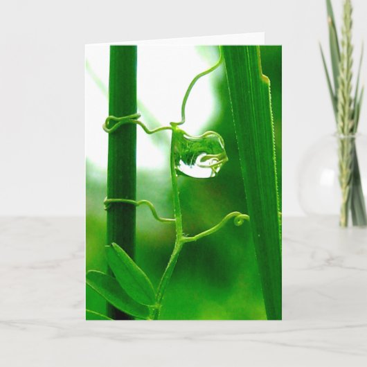 De dwaas, Tarot in Natuur, Nieuw Begin Kaart (Voorkant)