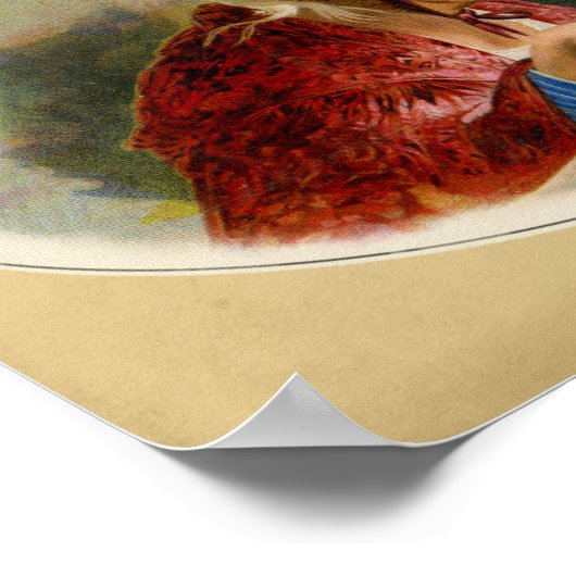 De dwergdoos poster (Hoek)