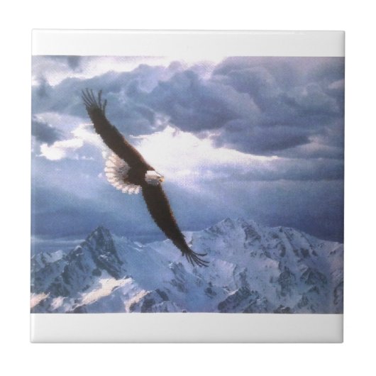 De Eagle weest het Storm Tegeltje (Voorkant)