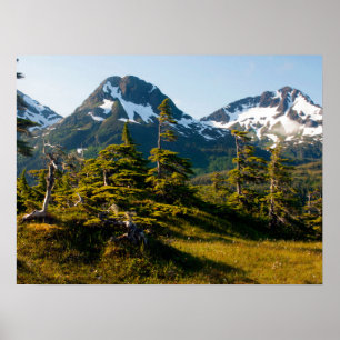 De Ecccles nabij Cordova, Alaska Poster