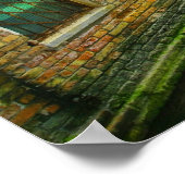 De echo van een droom poster (Hoek)