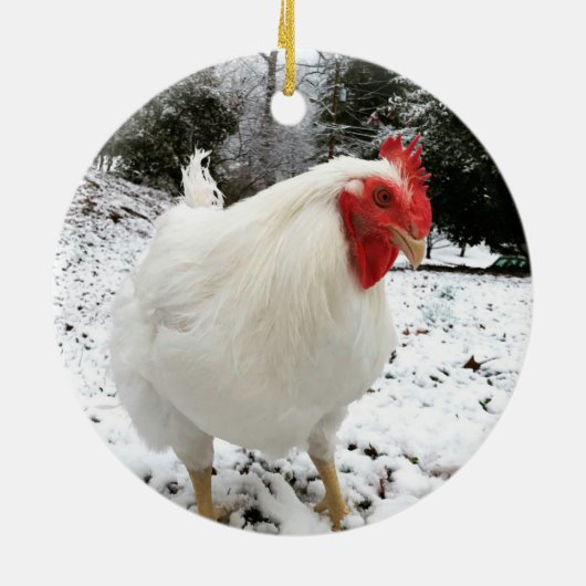 De echte Boo-kerstversiering Keramisch Ornament (Achterkant)